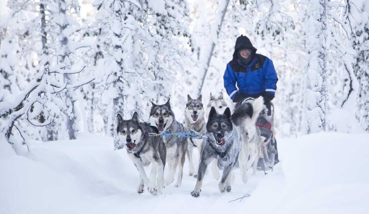 Wilderness Hotel Nangu & Igloos Ivalo Luaran gambar